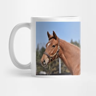 Flaxen Mug